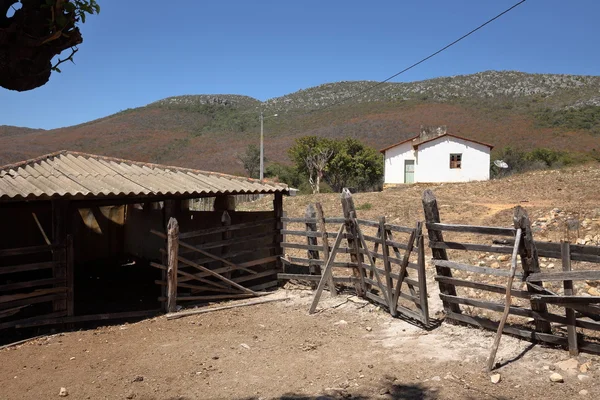 Osamělé vesnice Queixo Dantas v Brazílii Caatinga — Stock fotografie