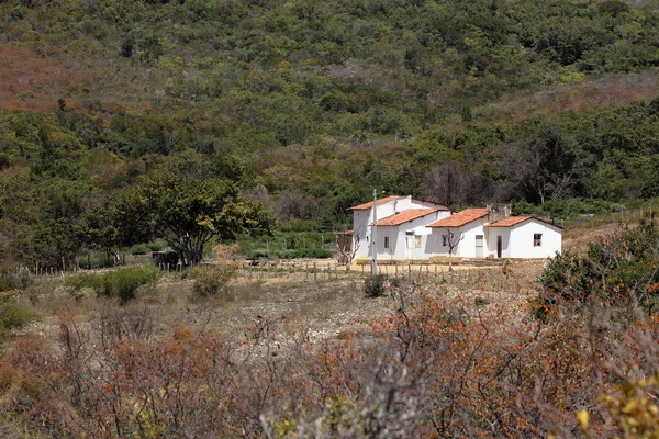 Μοναχικό χωριό Queixo Dantas το Caatinga της Βραζιλίας — Φωτογραφία Αρχείου