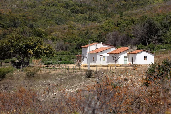 偏僻的村庄 Queixo Dantas 在巴西岩画 — 图库照片