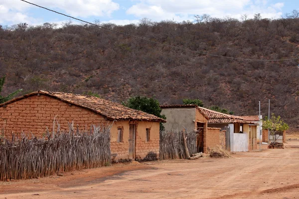 Aldea solitaria Queixo Dantas en la Caatinga de Brasil — Foto de Stock