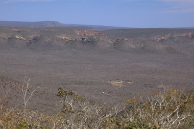 Kuzeydoğu Brezilya caatinga manzara