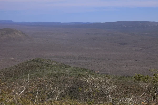 Caatinga krajina v severovýchodní Brazílii — Stock fotografie