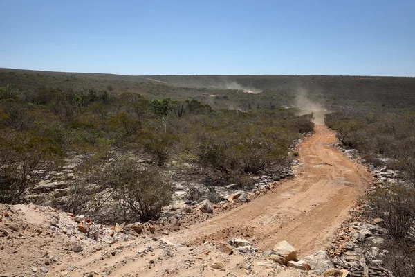 Väg på landsbygden i Brazil caatinga — Stockfoto