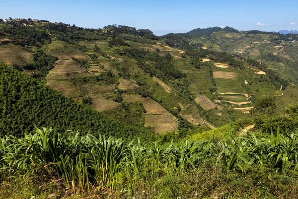 Paesaggio Del Ciclo Giang Vietnam — Foto Stock