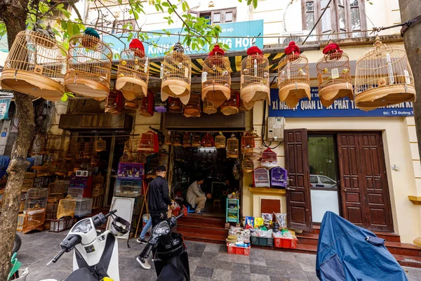 Pet Shop Bird Cages Street Hanoi — Stock Photo, Image