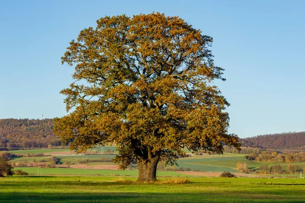 Gammal Hösten — Stockfoto