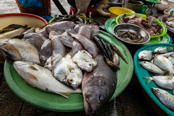 Παραδοσιακή Αγορά Ψαριών Του Hoi Στο Βιετνάμ — Φωτογραφία Αρχείου