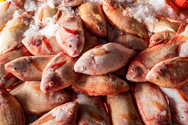 Traditional Fish Market Hoi Vietnam — Stock Photo, Image