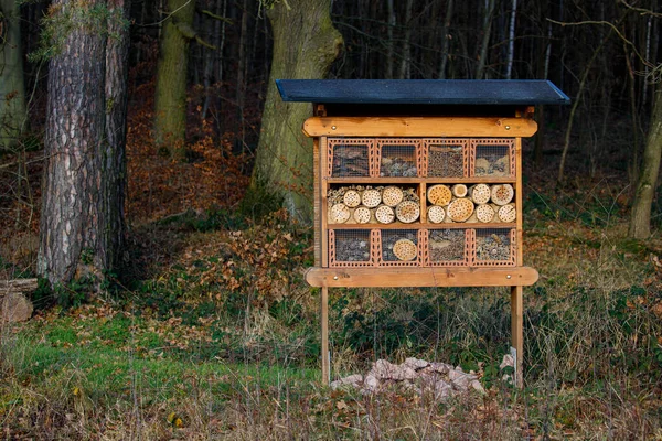 An insect hotel for wild bees