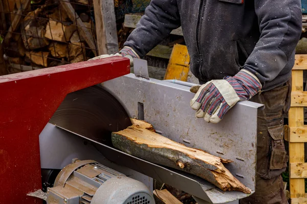 Produkcja Drewna Opałowego Piłą — Zdjęcie stockowe