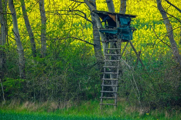 狩猟用の展望塔 — ストック写真