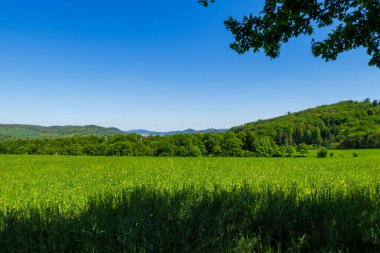 Reinnsteig Yürüyüşü 'nden Thüringen' deki Wartburg Şatosu 'na 