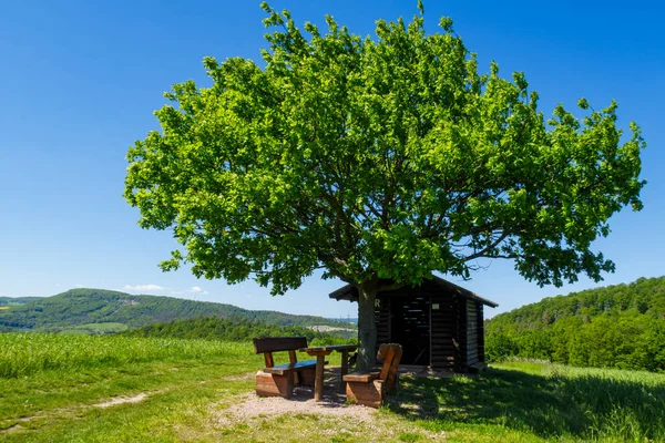 Chata Słynnym Rennsteig Hike Turyngii — Zdjęcie stockowe