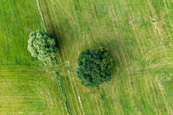 Werra Nehri Hesse Thüringen Deki Herleshausen Tarım Arazileri Ile Werra — Stok fotoğraf