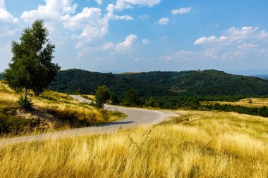 Romanya 'daki Transilvanya Peyzajı