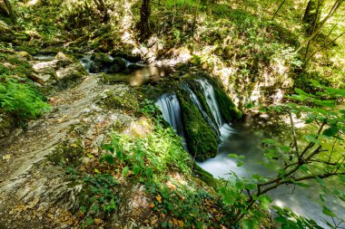 Romanya 'daki Cheile Nerei-Beunia Ulusal Parkı' ndaki Bigar cascada.