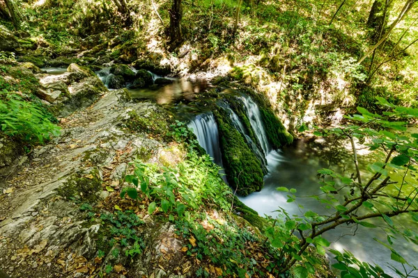 Cascada Bigar Parque Nacional Cheile Nerei Beunia Roménia — Fotografia de Stock