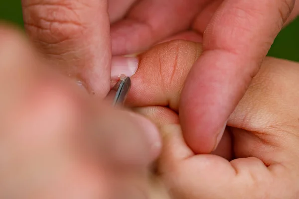 Fingernagel Und Maniküre Einer Hand — Stockfoto