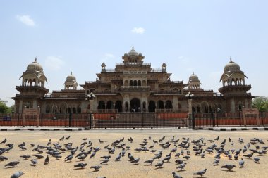 Albert hall Jaipur, Hindistan
