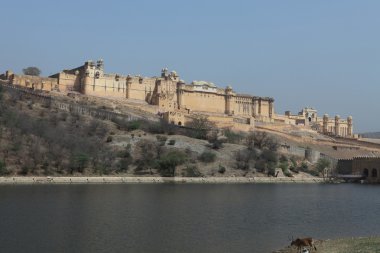 Amber Sarayı Jaipur, Hindistan