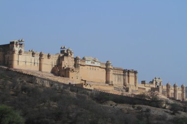 Amber Sarayı Jaipur, Hindistan