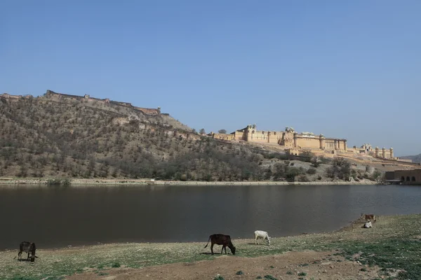 Bernsteinpalast von Jaipur in Indien — Stockfoto