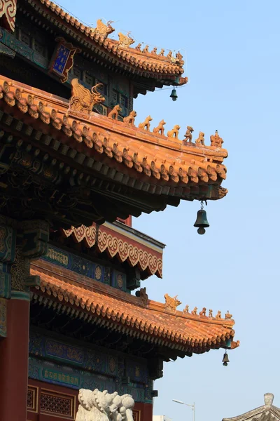 Chinese Roofs and Dragons — Stock Photo, Image