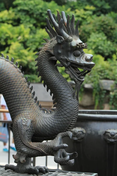 Dragon chinois — Photo