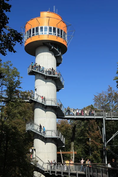 El Parque Nacional Hainich con la Torre de Vista —  Fotos de Stock