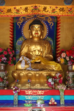 Wutai Shan Çin altın Buddha
