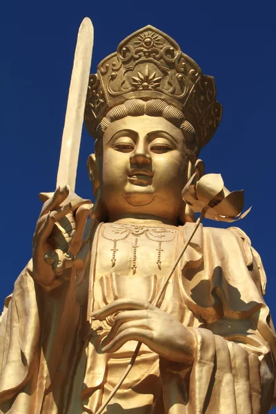Zlatý Buddha Wutai Shan v Číně — Stock fotografie