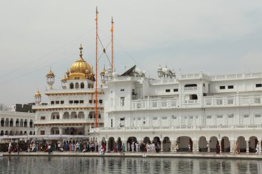 Amritsar altın tapınak Hindistan