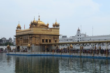 Amritsar altın tapınak Hindistan