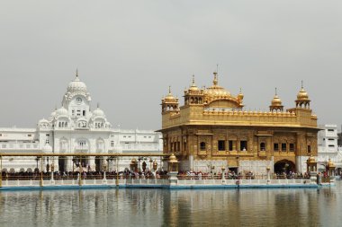 Amritsar altın tapınak Hindistan