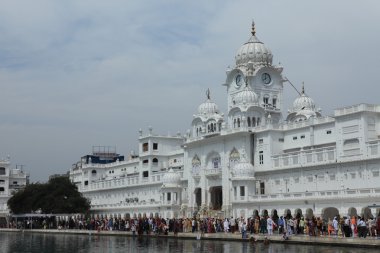 Amritsar altın tapınak Hindistan