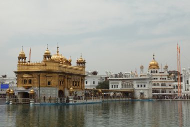 Amritsar altın tapınak Hindistan