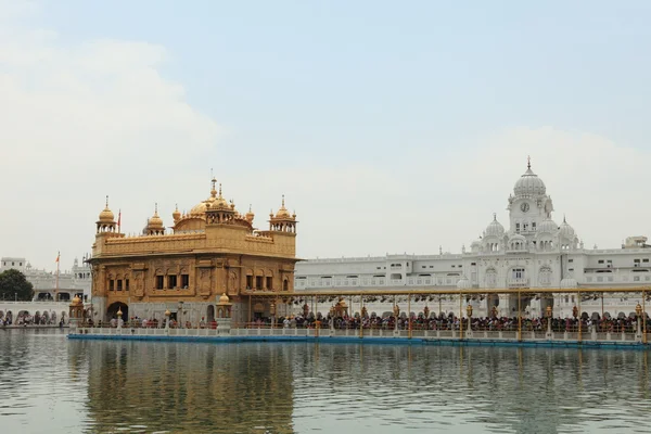 Il Tempio d'Oro di Amritsar in India — Foto Stock