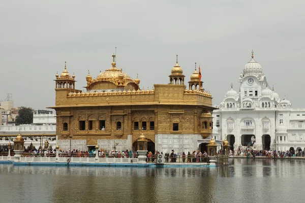 Gyllene templet i Amritsar i Indien — Stockfoto