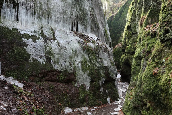 W pobliżu Eisenach w Turyngii, w Gorge Dragon — Zdjęcie stockowe