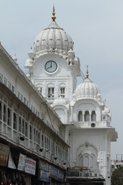 Amritsar altın tapınak Hindistan
