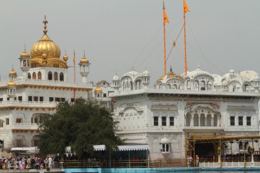 Amritsar altın tapınak Hindistan