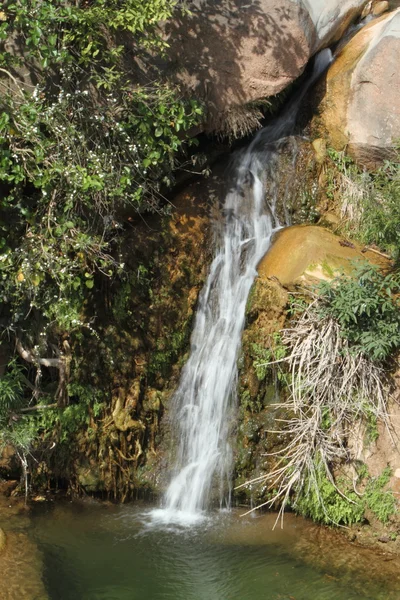 Водопад и ландшафт Индии рядом с Дхарамсалой — стоковое фото