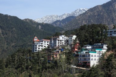 Hindistan Dharamsala şehir