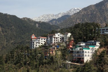 Hindistan Dharamsala şehir