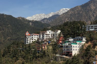 Hindistan Dharamsala şehir