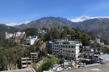 Hindistan Dharamsala şehir