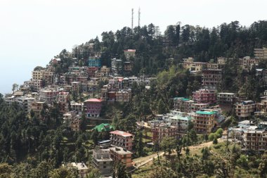 Hindistan Dharamsala şehir