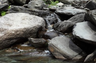 Dağ dere Dharamsala Hindistan içinde