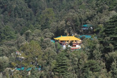 Hindistan Dharamsala şehir