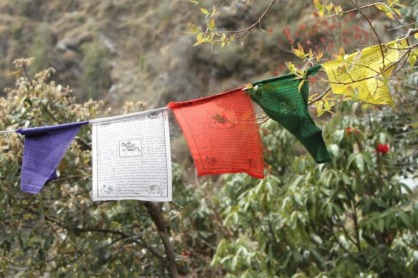 Bandiere di preghiera buddista — Foto Stock